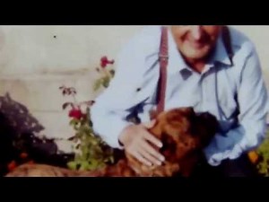 LINE RENAUD (le petit chien dans la vitrine)