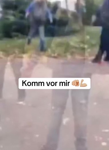 Discover the Humor of Austrian Culture