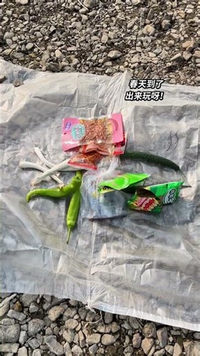 Spring Break Fun: Camping & Picnics with a Married Couple