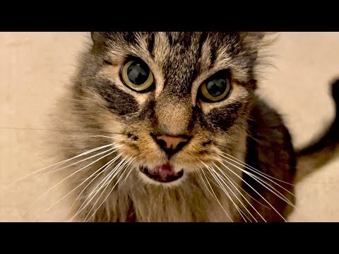 Sounds like a plan, Eric