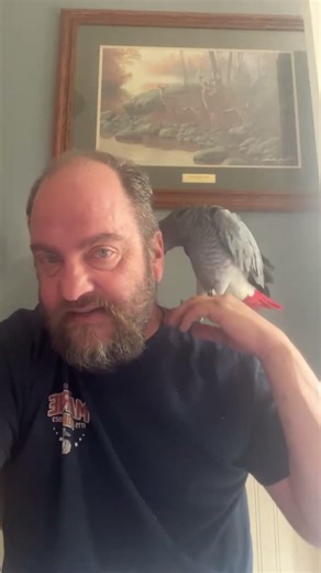 “Tito Got Camera Shy on Our First Live 😳🦜”