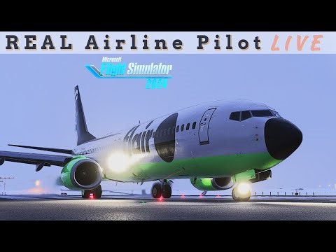 Plane and Simple | PMDG 737-800NG in MSFS 2024 | Pre-Release | Real Training Pilot | #boeing #pmdg