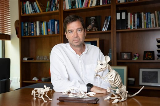 Scientists Take Agility Lessons From A Rat