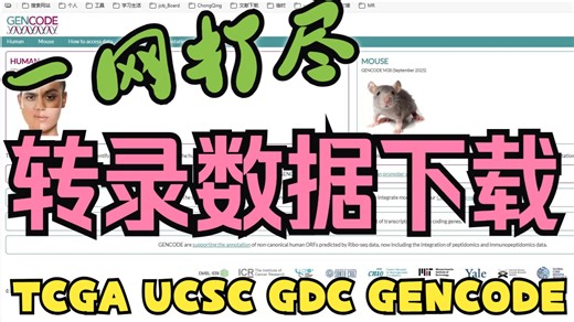 别再到处找数据了！一个视频搞定所有主流转录组数据源