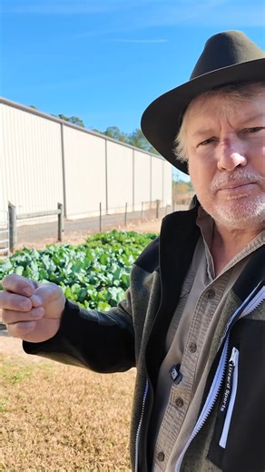 HOSS | 🌱 Want a garden that works harder than you do? Our Lazy Garden Kit makes planting, spacing, watering, and growing simple — perfect for busy... | Instagram