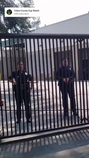 Dismissed | Jennifer Larson