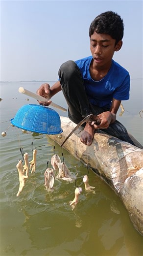 Amazing Big Fish Catching Method By Hook Traps - 1 #fishinglife #fishing