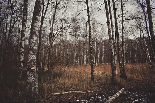 Introduction To Bune - Goetic Demon Duke Or Duchess » Eclectic Witchcraft