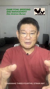27K views · 725 reactions | Game Fowl Breeding and Management: GINAWANG THREE-FOURTHS, STRAIN NA? | DOC Andrew BUNAN | Facebook