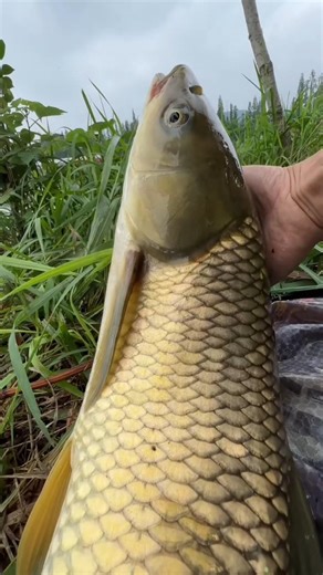 Fishing with the best fishing best fishing equipments?!