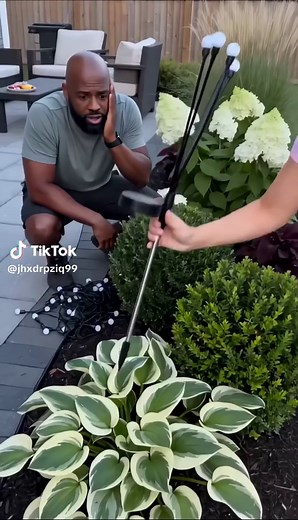 Solar Outdoor Lights to Upgrade Your Backyard This Summer