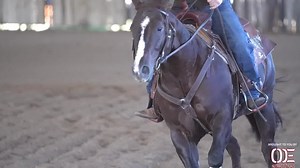 Robert Chown 's perseverance and gratitude on his battle with cancer in his own words! Brought to you by OE Nutraceuticals. OE Nutraceuticals EC Equine Marketing Robert Chown-Professional Horseman | OE Nutraceuticals