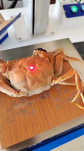 Live Crab Packing & Laser Logo Marking | Satisfying Seafood Factory Process