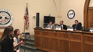 Why did the geese cross the road? Bergenfield Girl Scouts push for  warning sign