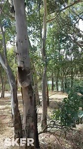 422K views · 10K reactions | With Wilma back in care  we thought it...