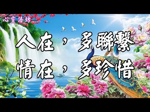 ❤人在，多聯繫！情在，多珍惜！♬《只求愛停留~曉月》