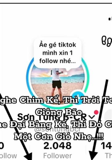 Nghe Chim Kể, Thì Trời Toàn Giông Bão Nghe Đại Bàng Kể, Thì Đó Chỉ Là Một Cơn Gió Nhẹ…!!!#fyp #fypシ゚viral🖤tiktok #CBM #TX #BCR