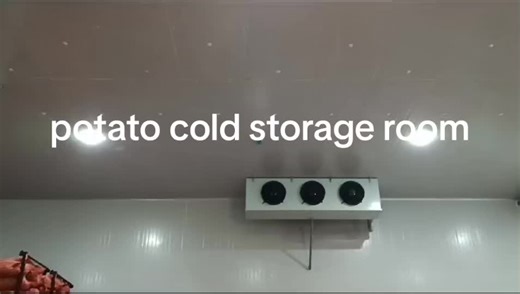 Potato Cold Storage Solutions for Optimal Freshness