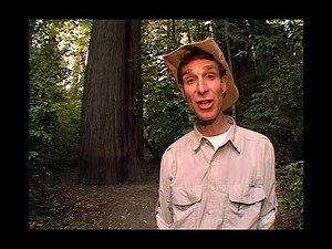 Bill Nye The Science Guy - S02E15 - Forests - Best Quality - 4K UPSCALED