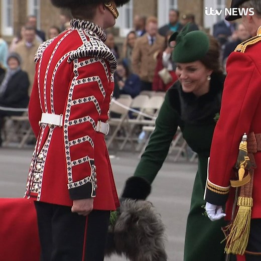 930K views · 1.2K shares | The heavily pregnant Duchess of Cambridge presents a shamrock to mascot dog Domhnall as she and Prince William meet the Irish Guards on St. Patrick's Day. | ITV News Royals | Facebook