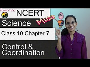 NCERT Class 10 Science Chapter 7: Control and Coordination (NTSE/NSO/NSTSE) | English
