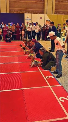 running race viral video 🤣 #funny #funnyvideo