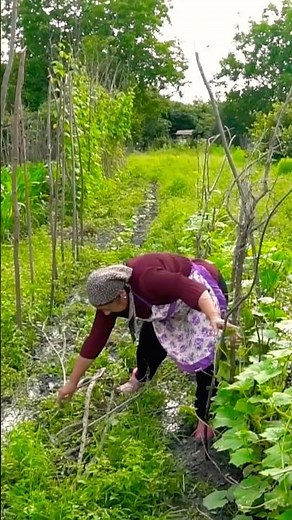 Country Life Vlog Azerbaijan - Grandma Cooking #grandma #azerbaijan #cooking #village #recipe