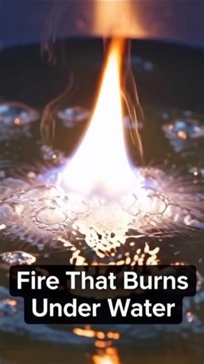 Fire That Burns Under Water 😱 | Magnesium Experiment #science #shorts