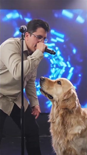 “Mic Check 🎤 | Stage Show with the Dog – Rap Short #ShortsFeed #Viral #YTShorts”