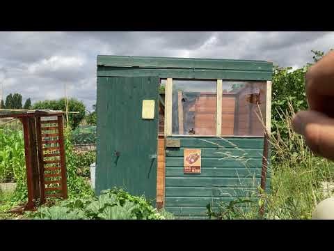 July Tour of Abbots Way Allotment