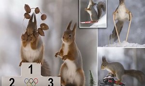 Wild Squirrels Captured Skiing and Riding Snowmobile Ahead of 2018 Winter Olympics