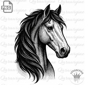 Horse Head PNG Clipart: Silhouette & Line Art (digital Download) - Etsy