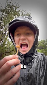 2.2K views · 61 reactions |  Psychedelic vs. Functional Mushrooms:...