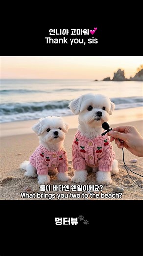 언니야 고마워💕