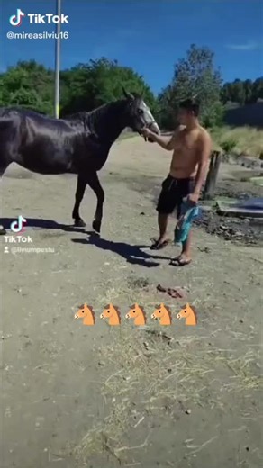 Videoclipuri postate de Costel Roco (@costel.roco) cu sunet original - vladgneagu