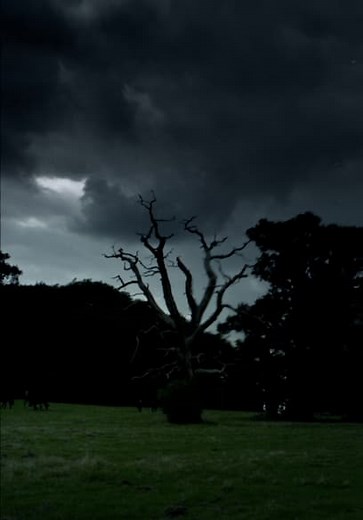 The Colour of Magic S01:E02 - Part 2: The Light Fantastic