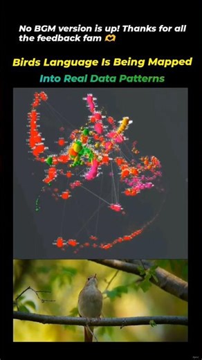 The Architecture of Song: Decoding Avian Signals through Data Modeling 1.6M