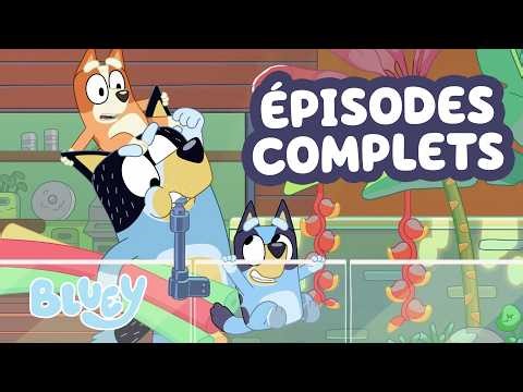 Bluey À La Piscine + Encore ! 🤿 💙 | Épisodes Complets 🫧 | Bluey - Français Chaîne Officielle