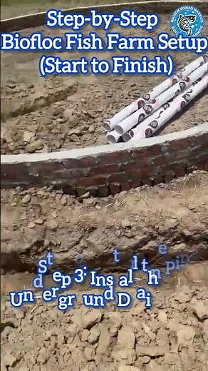 Step-by-Step Biofloc Fish Farm Setup Part 1 Tank to Tarpaulin