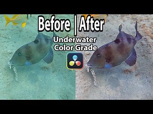 Davinci Resolve Underwater Color Grading Tutorial OC from GoPro Hero 9