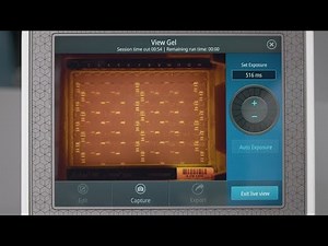 E-Gel Power Snap Plus How-To Series: Gel Live View