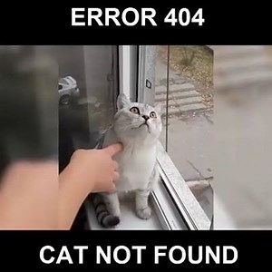 67K views · 594 reactions | Please, REBOOT your cat <3 | Guide-Informatica.com | Facebook