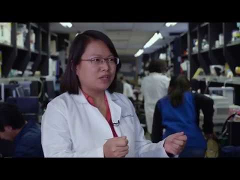 Noninvasive brain tumor biopsy | Inside the Research | Washington University