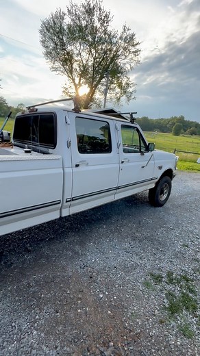 Loading Finished Hogs #tripleoakspork #pasturedpigs #eatlocal #regenerativeagriculture #pasturedpork #pigs #pork #eat #eatinghealthy #farmtotable #meat #eatmeat | Triple Oaks Farm PMA