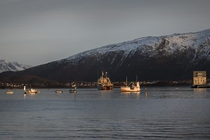 CC-series - Polyform AS – High Quality Multi-Purpose Buoys