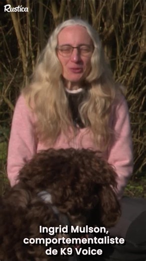 Votre chien fait souvent des trous dans votre beau jardin ? Il creuse frénétiquement ? La comportementaliste de K9 voice nous éclaire 🐶