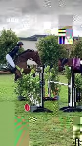 12K views · 159 reactions | The animals really are the stars of the Great Yorkshire Show      | BBC York | Facebook