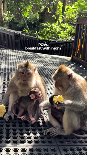 The Comfort of a Mother's Embrace