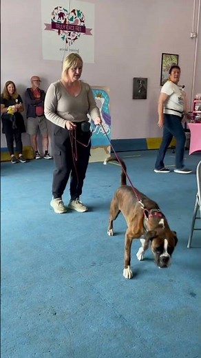 Nosework with Brigitte Englahner @ Truly Force Free Animal Training 1