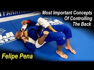The Most Important Concepts Of Controlling The Back by Felipe Pena